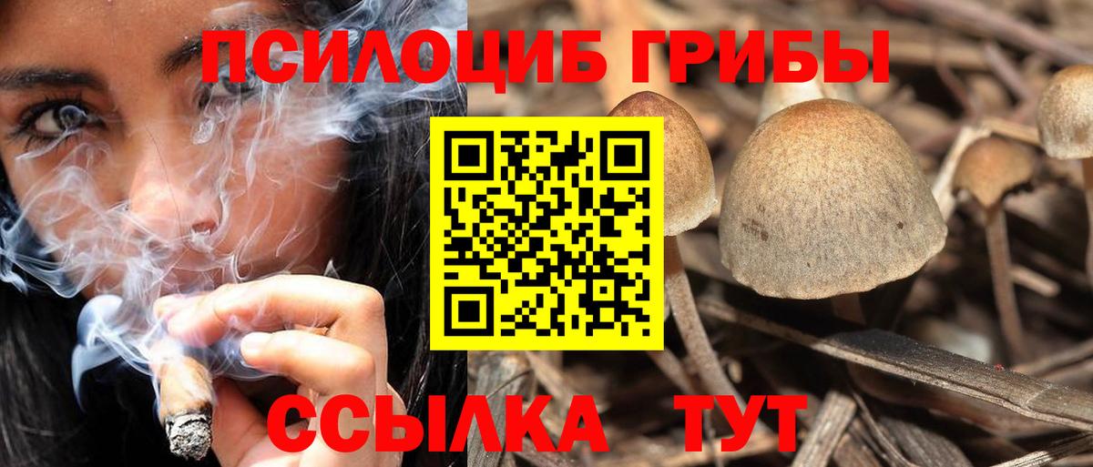 Галлюциногенные грибы GOLDEN TEACHER  Вход с VPN  Добрянка  Галлюциногенные грибы GOLDEN TEACHER 