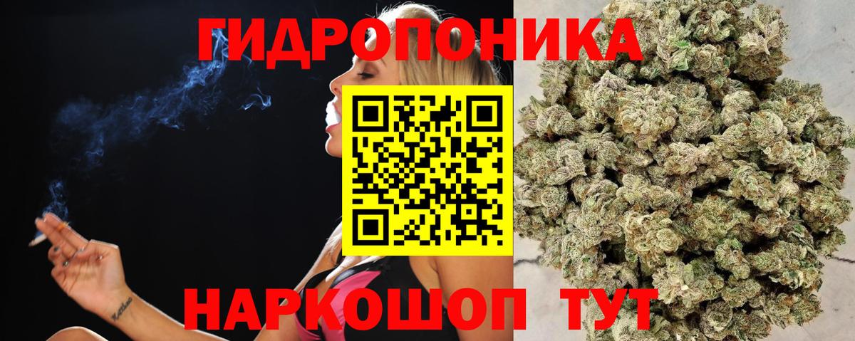Конопля Bruce Banner Добрянка